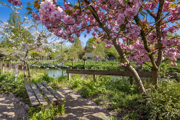 Foto 35 van Aartsbisschop Romerostraat 227