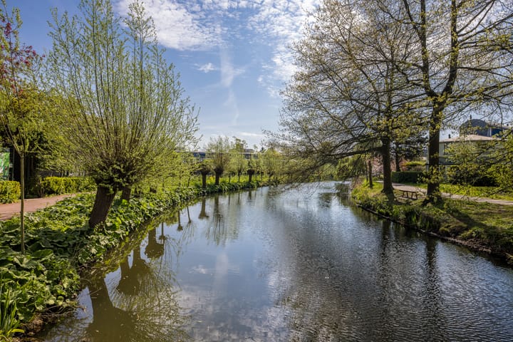 Foto 36 van Aartsbisschop Romerostraat 227