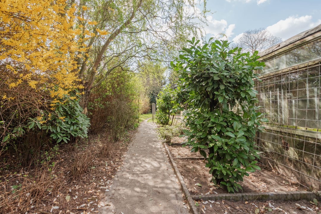 Foto 53 van Vlasvenstraat 8