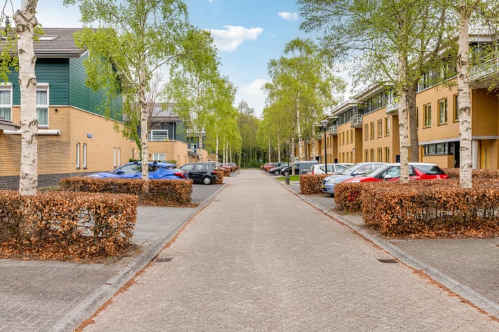 Foto 36 van Voorjaarstraat 2