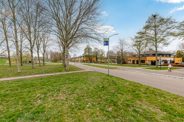 Foto 40 van Voorjaarstraat 2