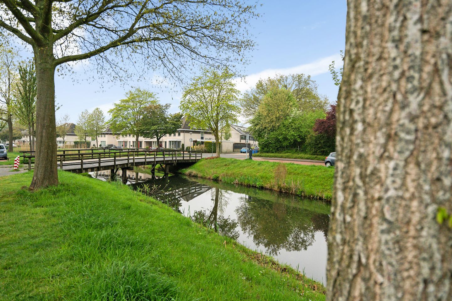 Foto 4 van Dreessingel 30