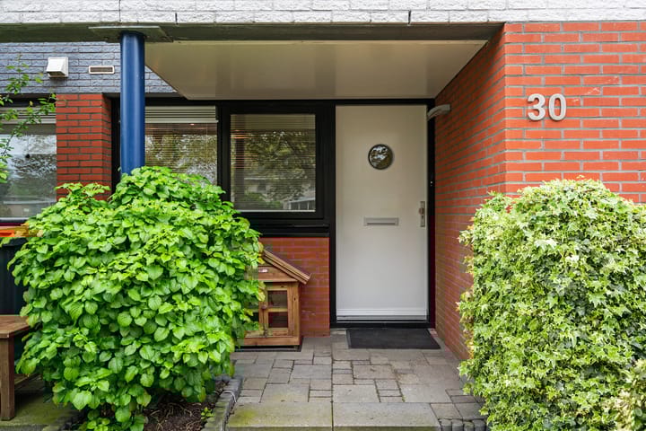 Foto 6 van Dreessingel 30