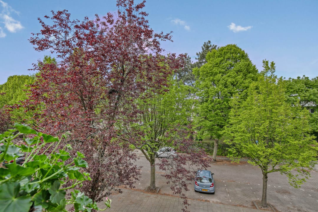 Foto 22 van Taborstraat 70