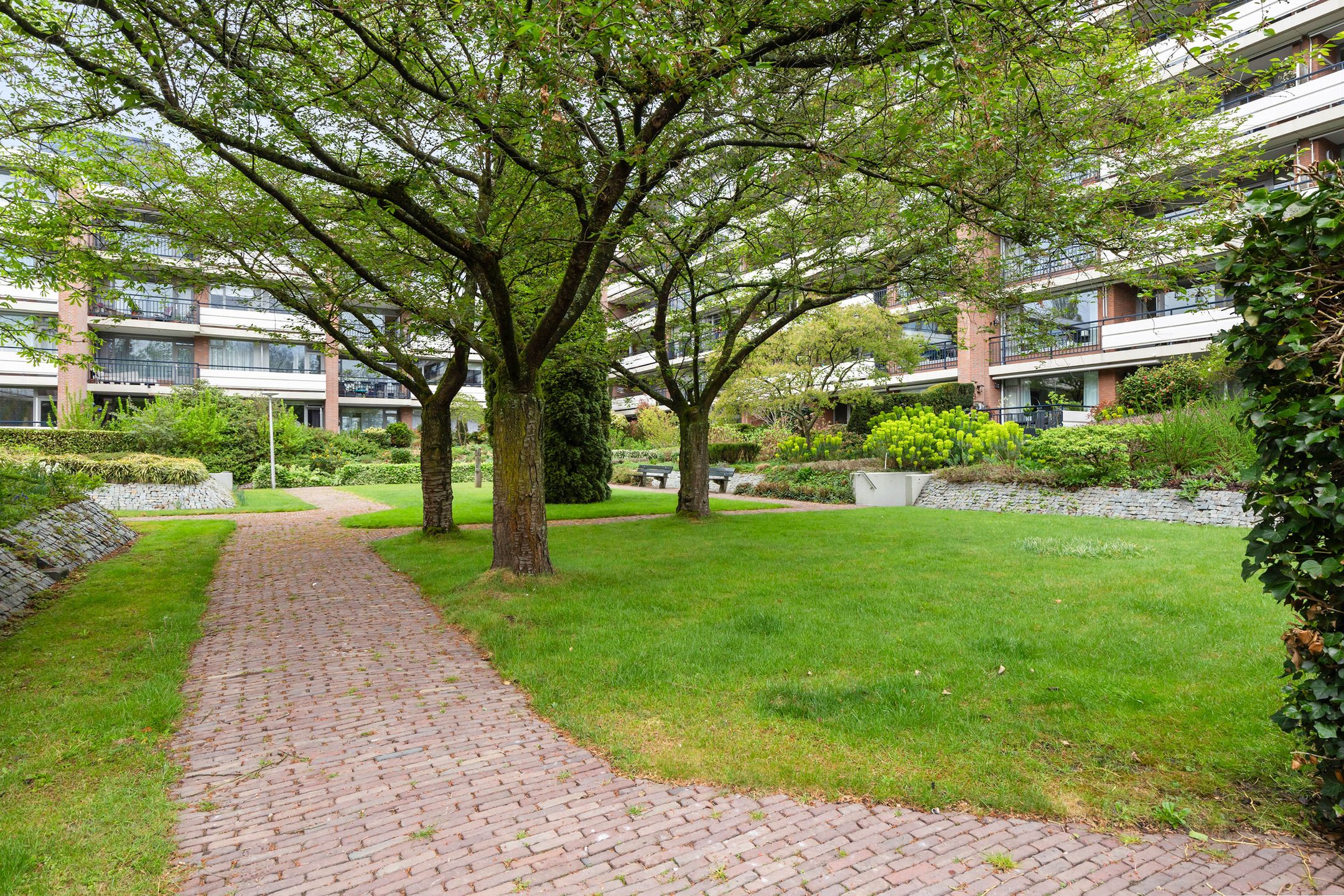 Foto 36 van Loseweg 239