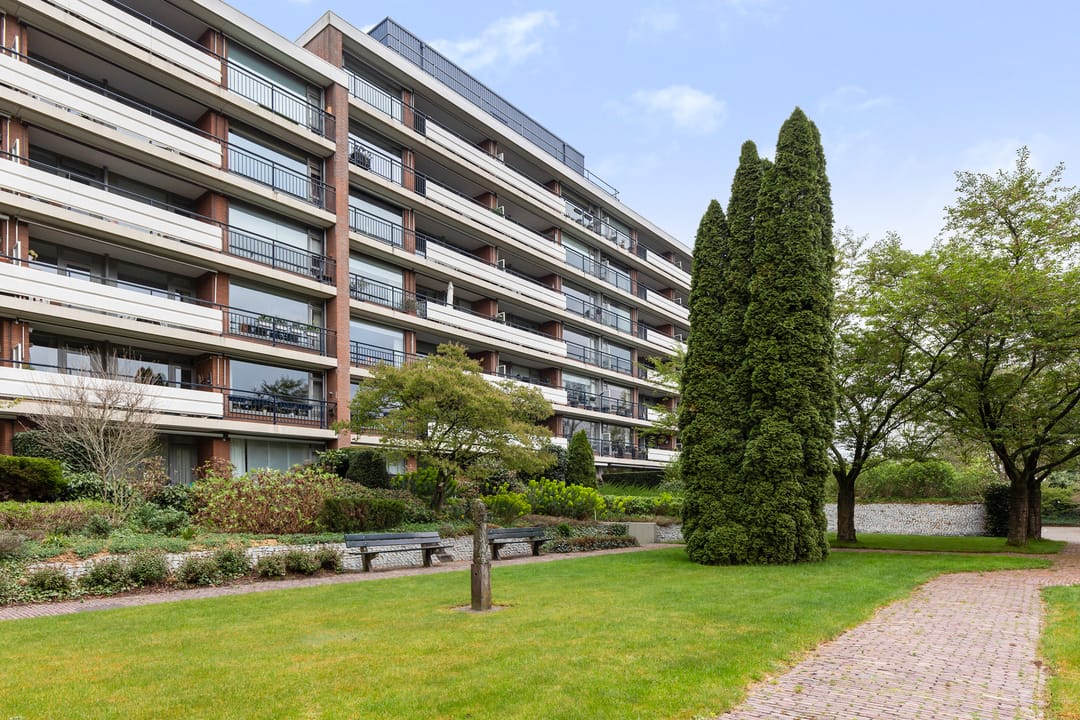 Foto 37 van Loseweg 239