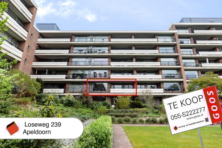 Foto 42 van Loseweg 239