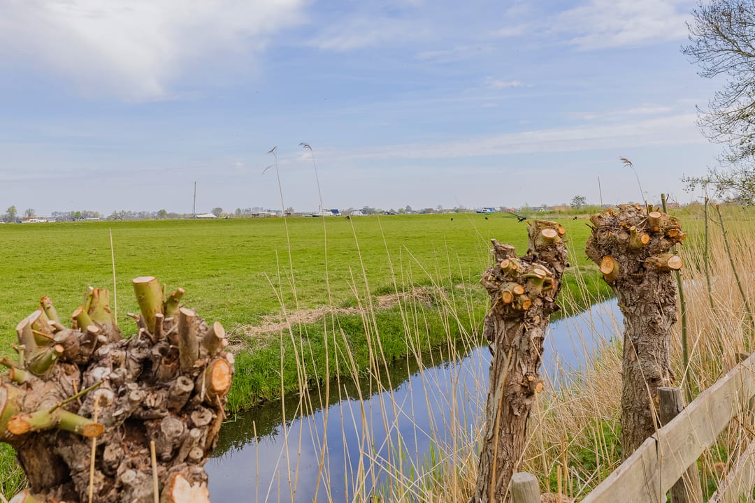 Foto 52 van Sweilandpolder 15-M