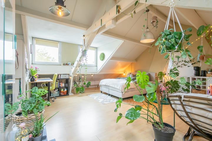 Foto 19 van Ambyerstraat Noord 53