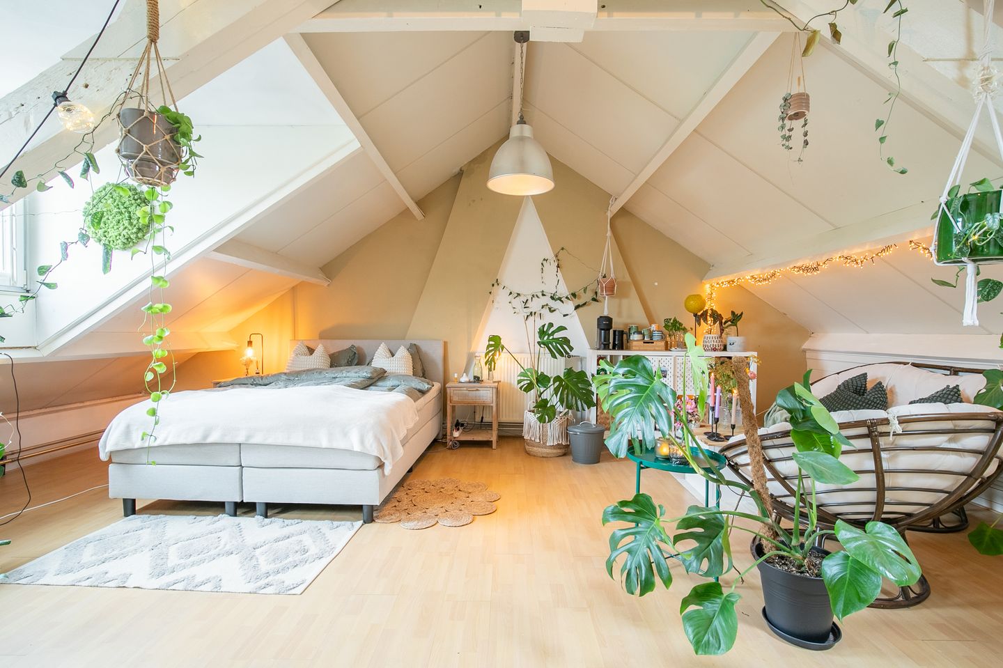 Foto 20 van Ambyerstraat Noord 53