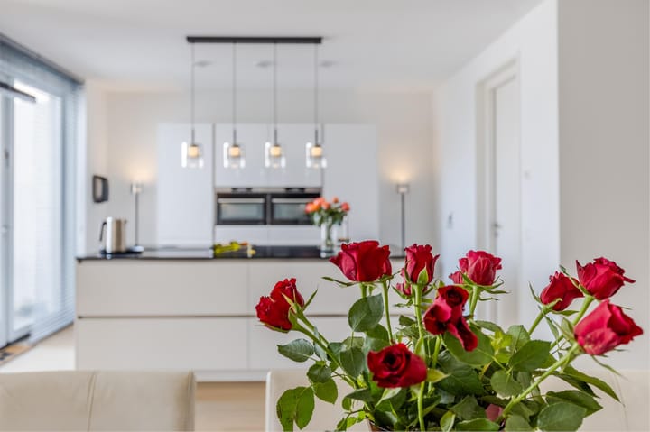 Foto 18 van Aan de Dijk 44