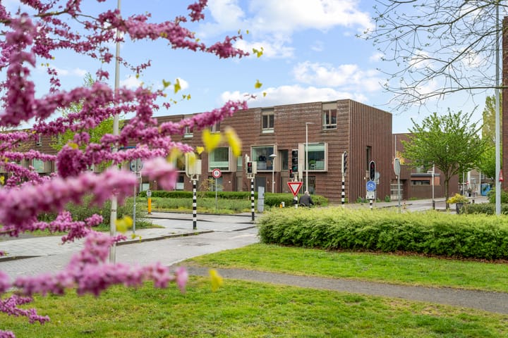 Photo 45 of Melis Stokestraat 501