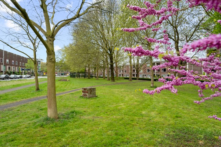 Photo 48 of Melis Stokestraat 501