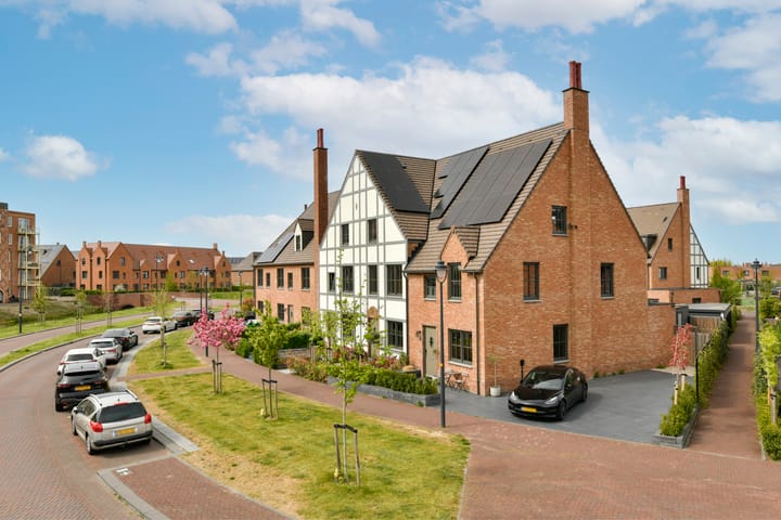 Foto 1 van Laan van Tudor 271