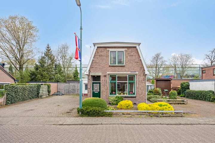 undefined main image
