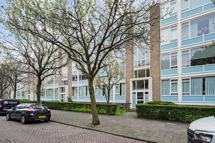 Willem Pijperstraat 226