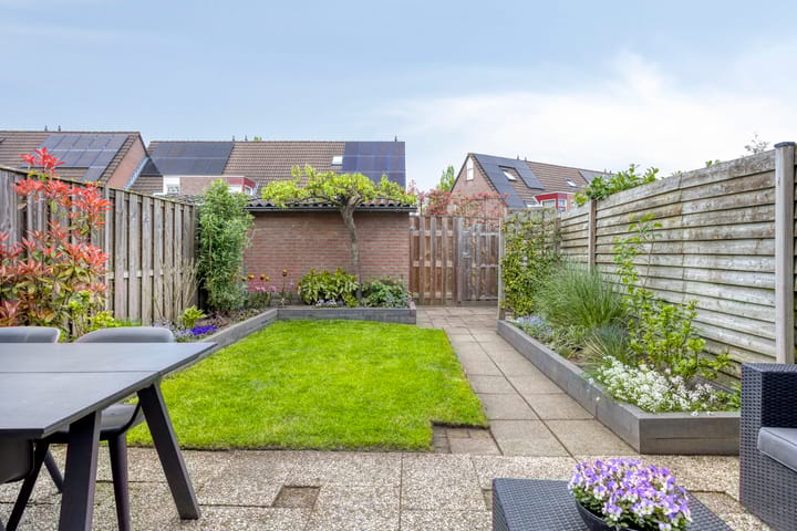 Foto 2 van Blauwgras 11