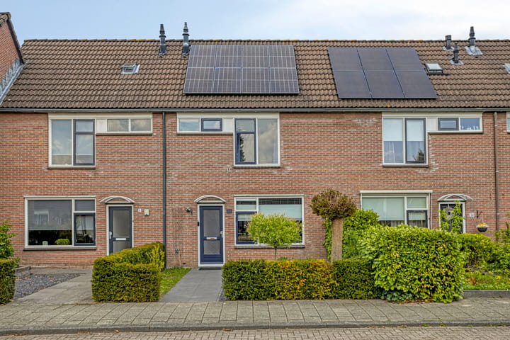 Foto 8 van Blauwgras 11