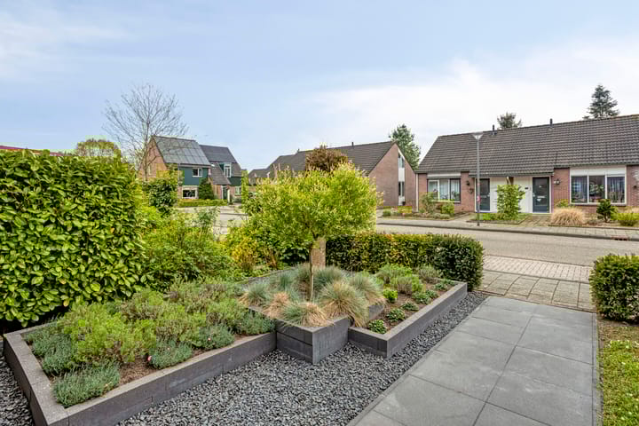 Foto 9 van Blauwgras 11