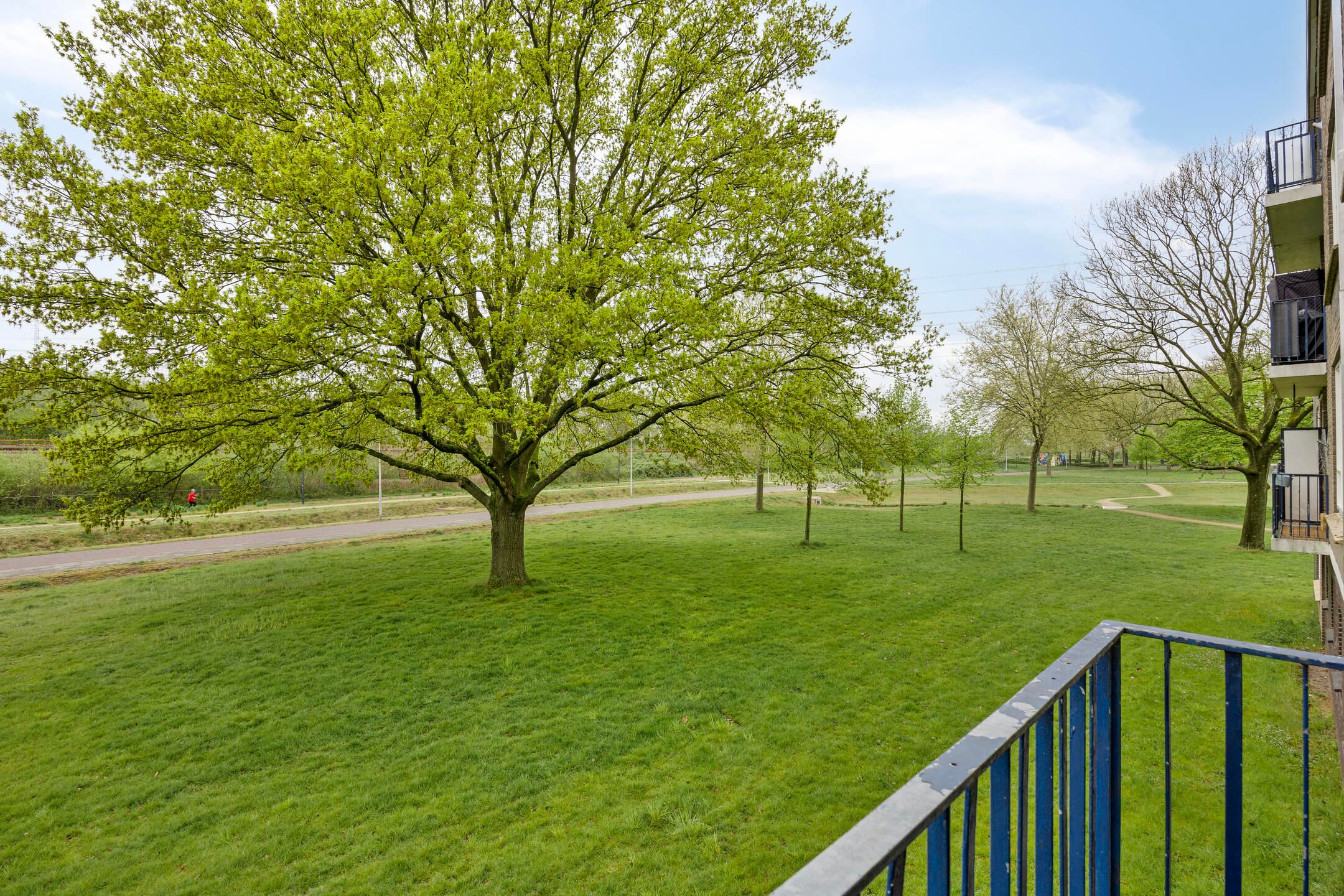 Foto 18 van Roelof van Schevenstraat 209