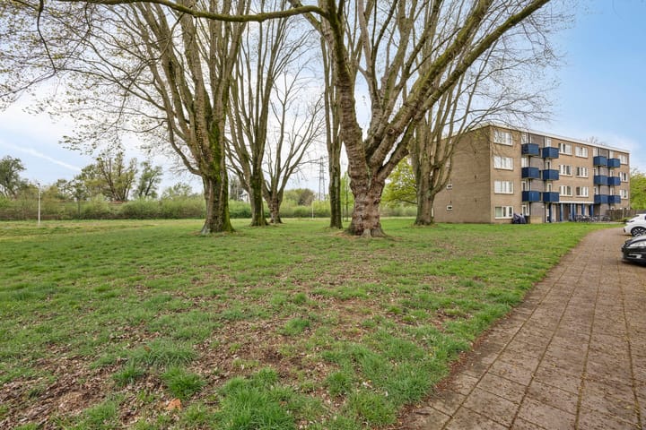 Photo 31 of Roelof van Schevenstraat 209