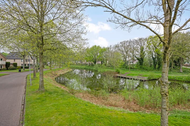 Photo 46 of Walkampen 11