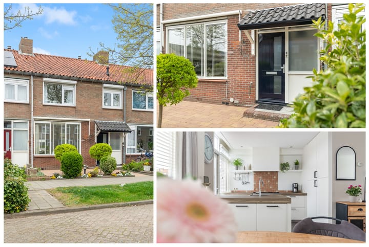 Foto 2 van De Terp 5