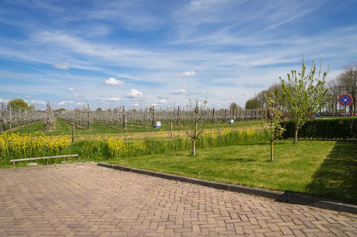 Photo 26 of Verhuizensestraat 1