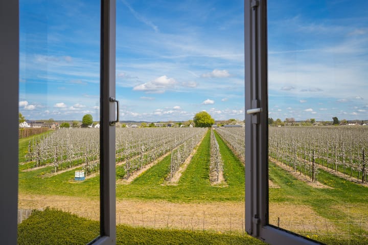 Photo 28 of Verhuizensestraat 1