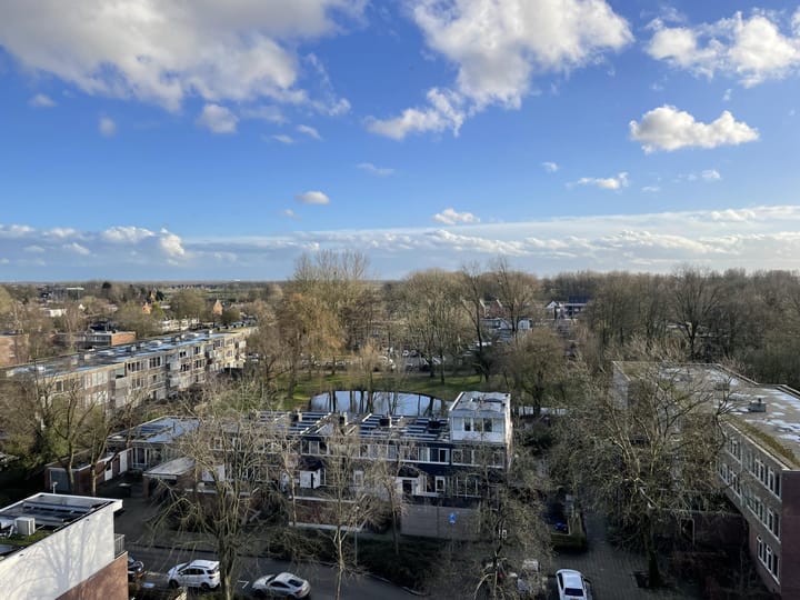 Foto 16 van Meerpaal 50