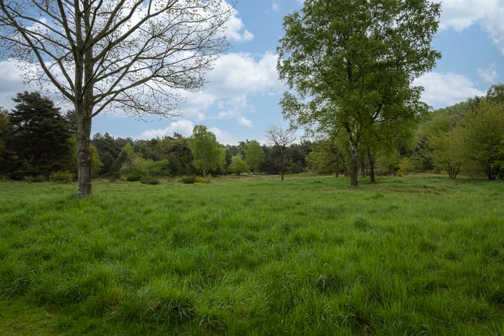 Foto 31 van Kievitstraat 26