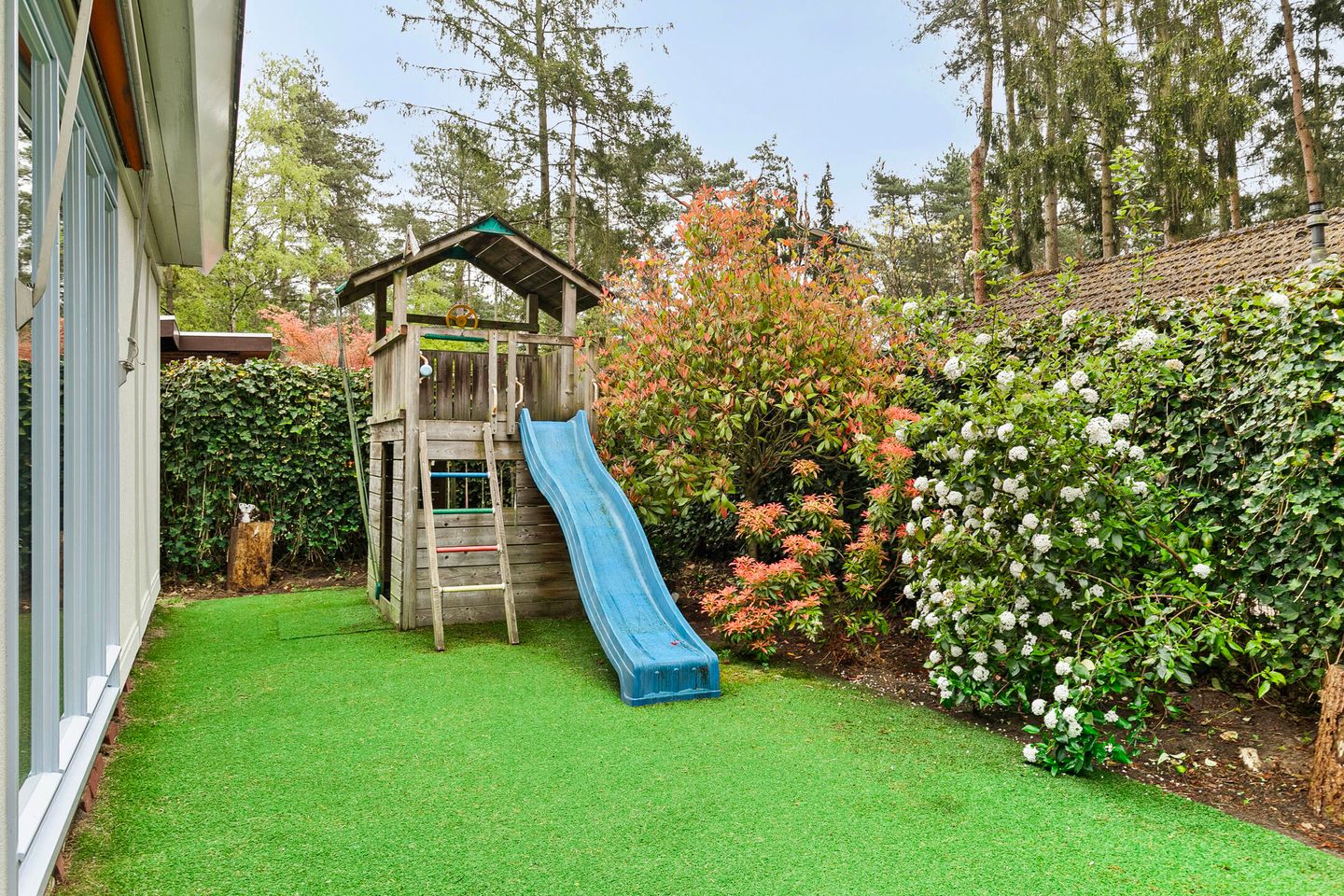 Foto 29 van Schaluinen 11-B427