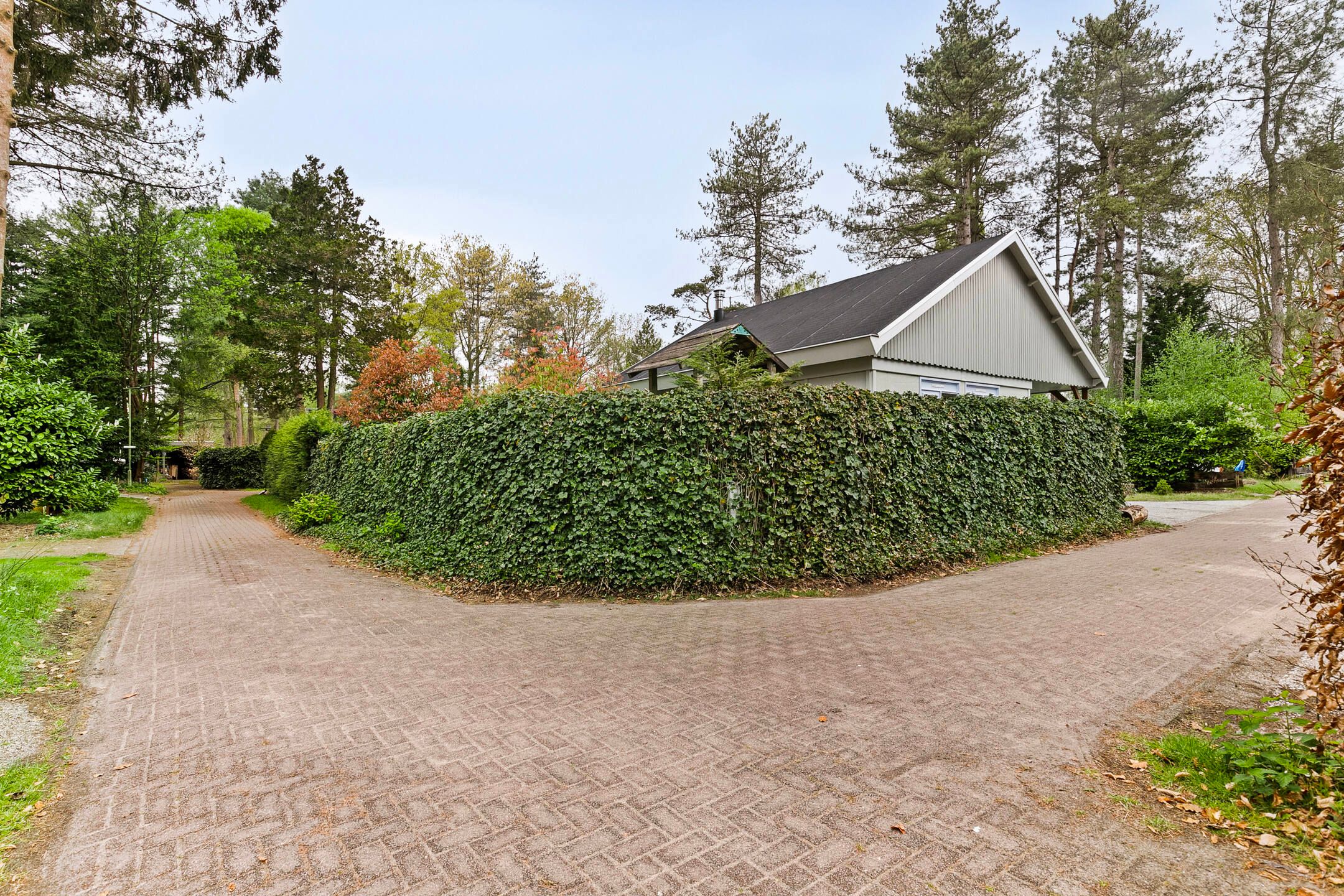 Foto 30 van Schaluinen 11-B427