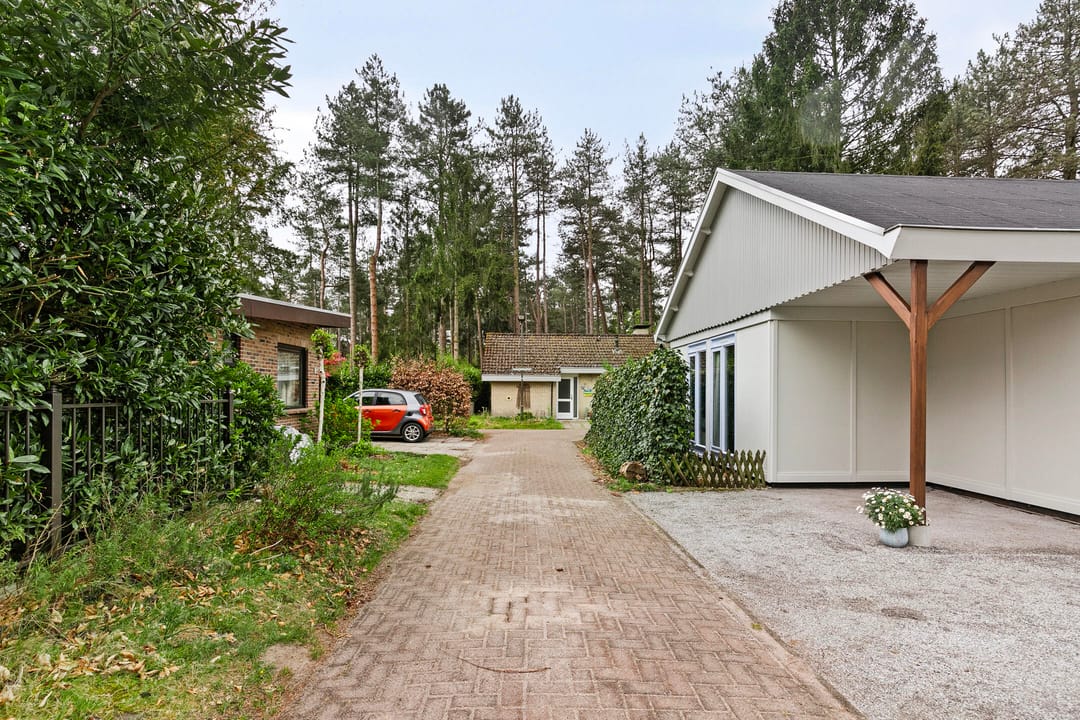 Foto 37 van Schaluinen 11-B427