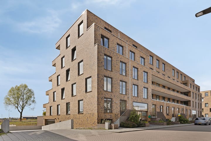 Foto 6 van Lisdodde 213