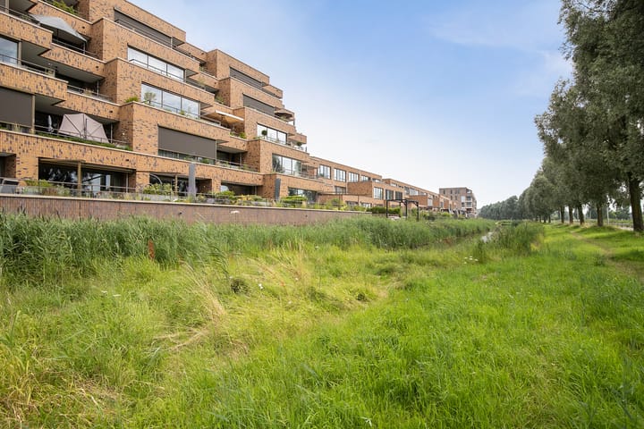 Foto 49 van Lisdodde 213