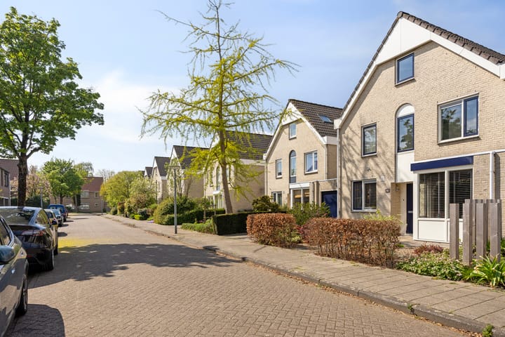 Foto 50 van Vluttersven 39