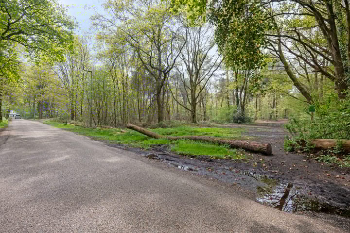 Foto 58 van Vluttersven 39