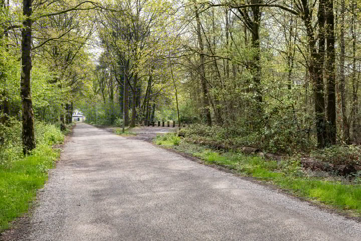 Foto 59 van Vluttersven 39