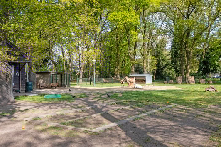 Foto 61 van Vluttersven 39