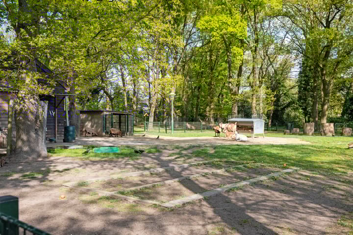 Foto 62 van Vluttersven 39