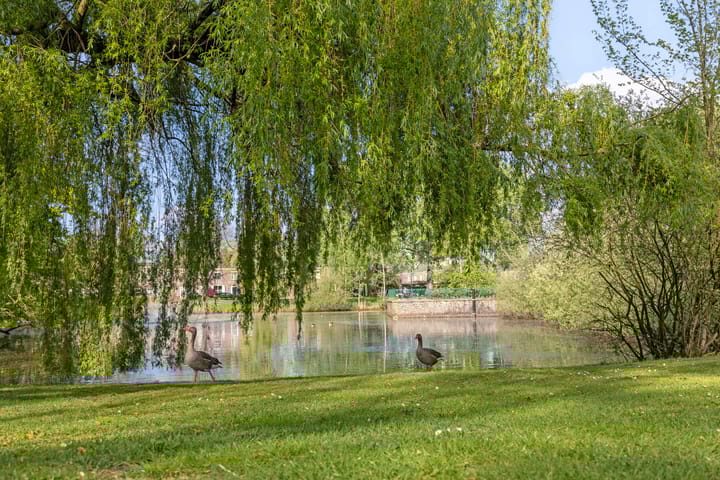 Foto 63 van Vluttersven 39