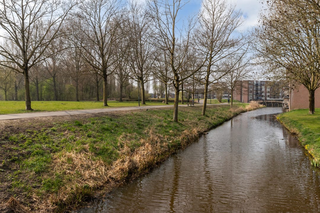 Foto 38 van de Kuinder 6