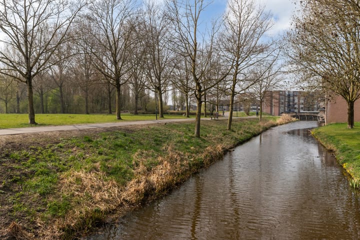 Foto 38 van de Kuinder 6