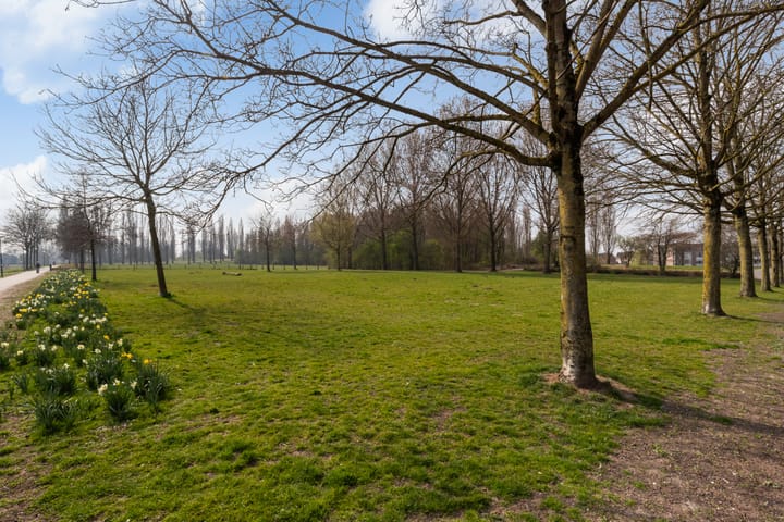 Foto 39 van de Kuinder 6