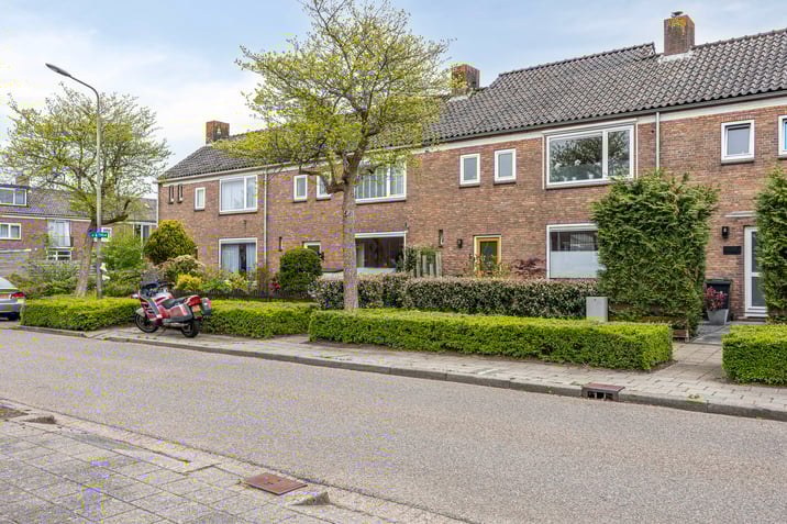 undefined main image