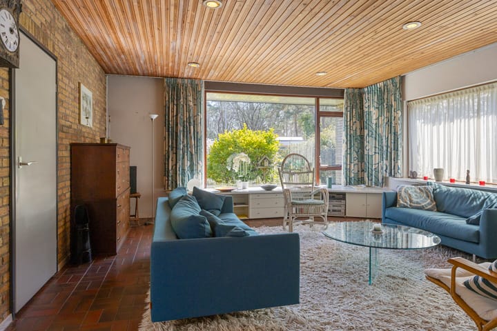 Foto 10 van Albert Schweitzerplantsoen 15