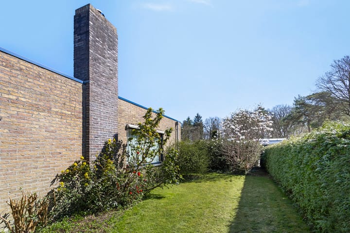 Foto 44 van Albert Schweitzerplantsoen 15