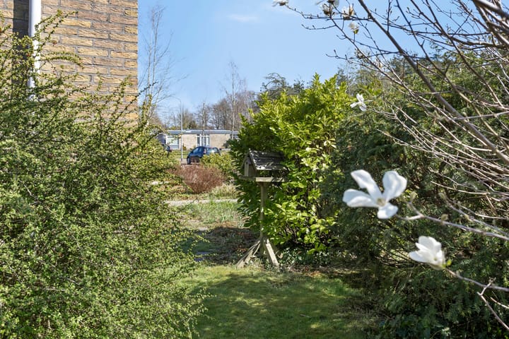 Foto 45 van Albert Schweitzerplantsoen 15