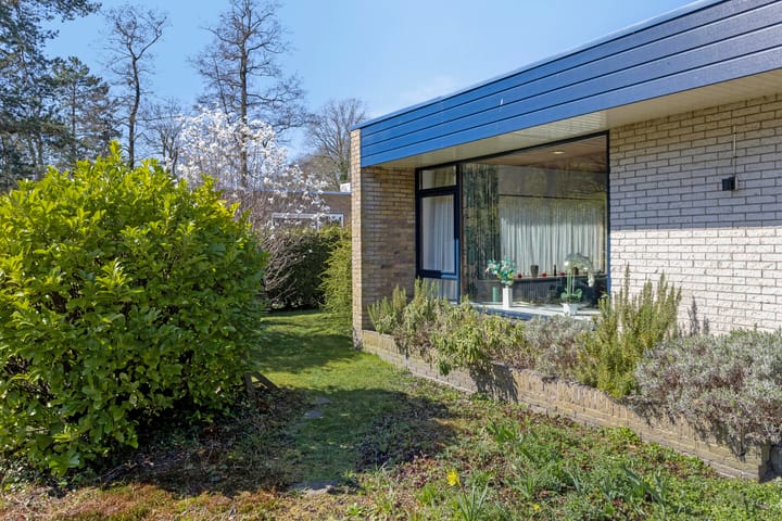 Foto 51 van Albert Schweitzerplantsoen 15